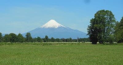 Category: Biodiversity - Chile Expat Family
